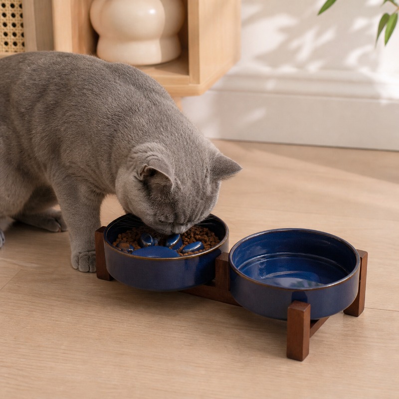 2027 Miska ceramiczna w japońs – Royal Canin Food Medium recenzja i cena