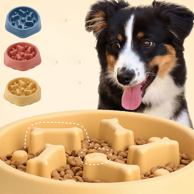 Miska dla psa z funkcją spowal – Royal Canin Food Medium recenzja i cena