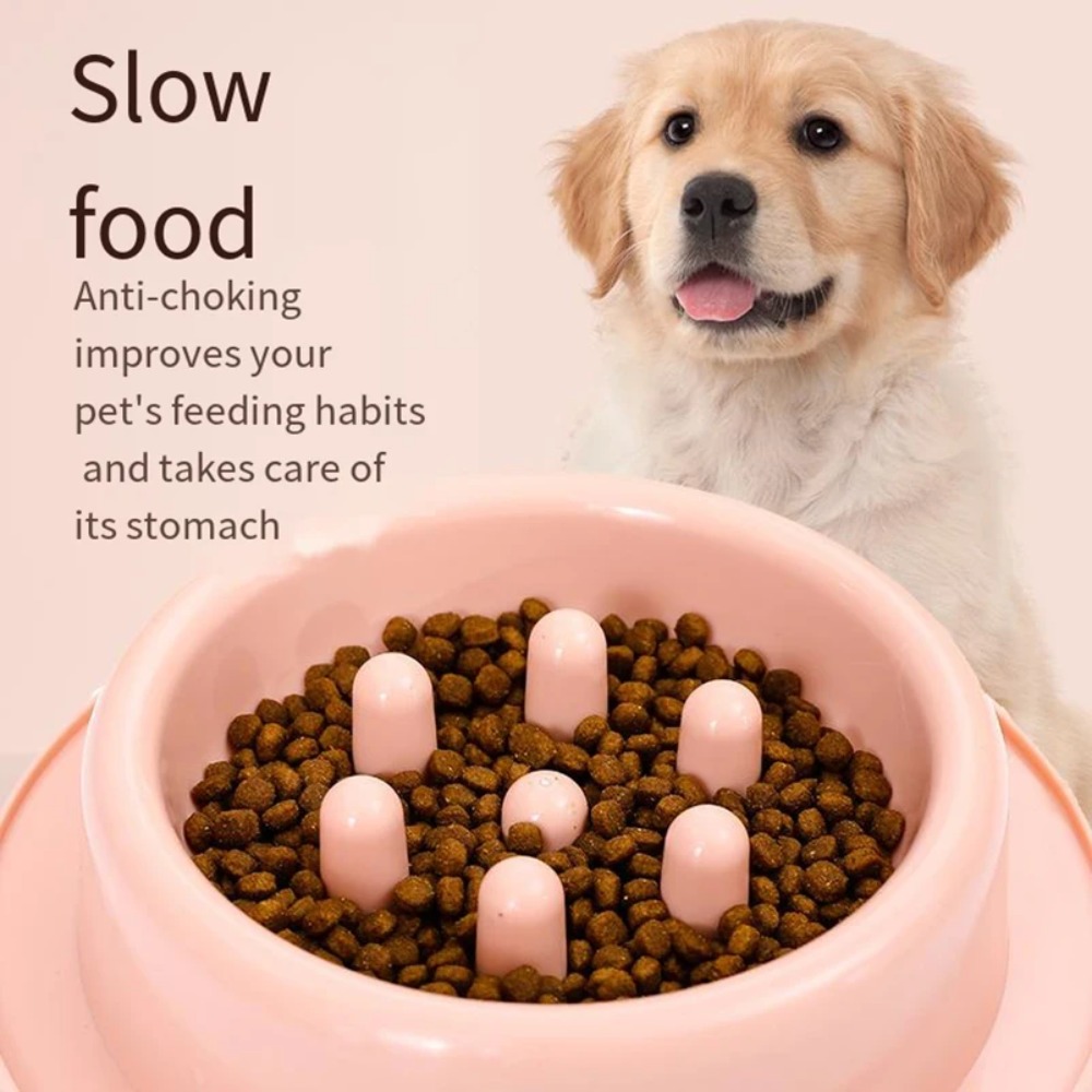 Miska dla psa z funkcją spowal – Royal Canin Food Medium recenzja i cena