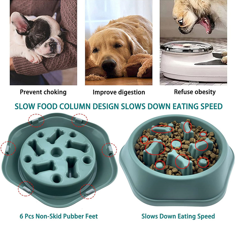 Miska dla psa z funkcją powoln – Royal Canin Food Medium recenzja i cena
